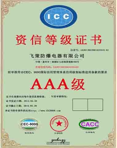 Credit Rating Certificate